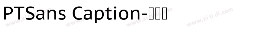 PTSans Caption字体转换